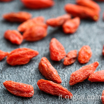 Nutrizione organica della frutta arancione della bacca di goji rossa